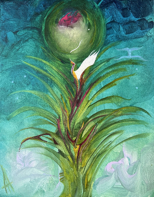 Crocus Bird